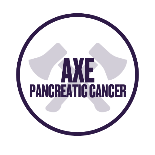 Axe Logo 2024