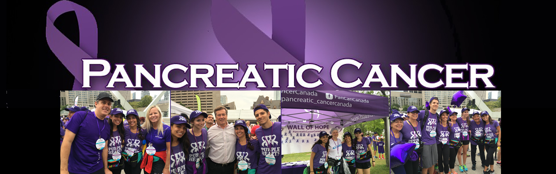 OneWalk 2017 Banner V2